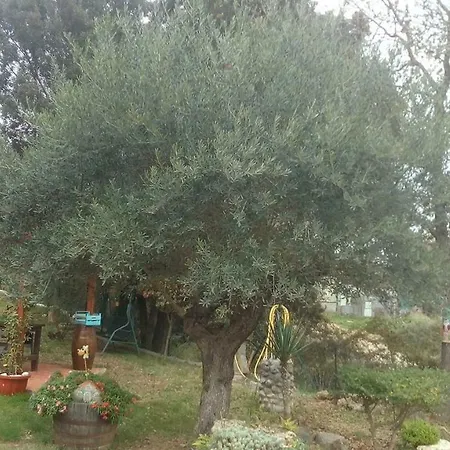 Il Boschetto Del Mercure Laino Borgo