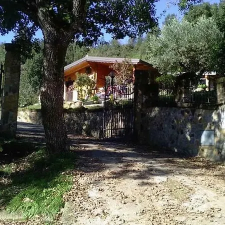 Il Boschetto Del Mercure Pensionat Laino Borgo